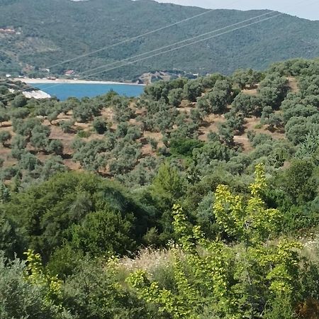 Art Hotel Panorama Pyrgadikia Exteriör bild