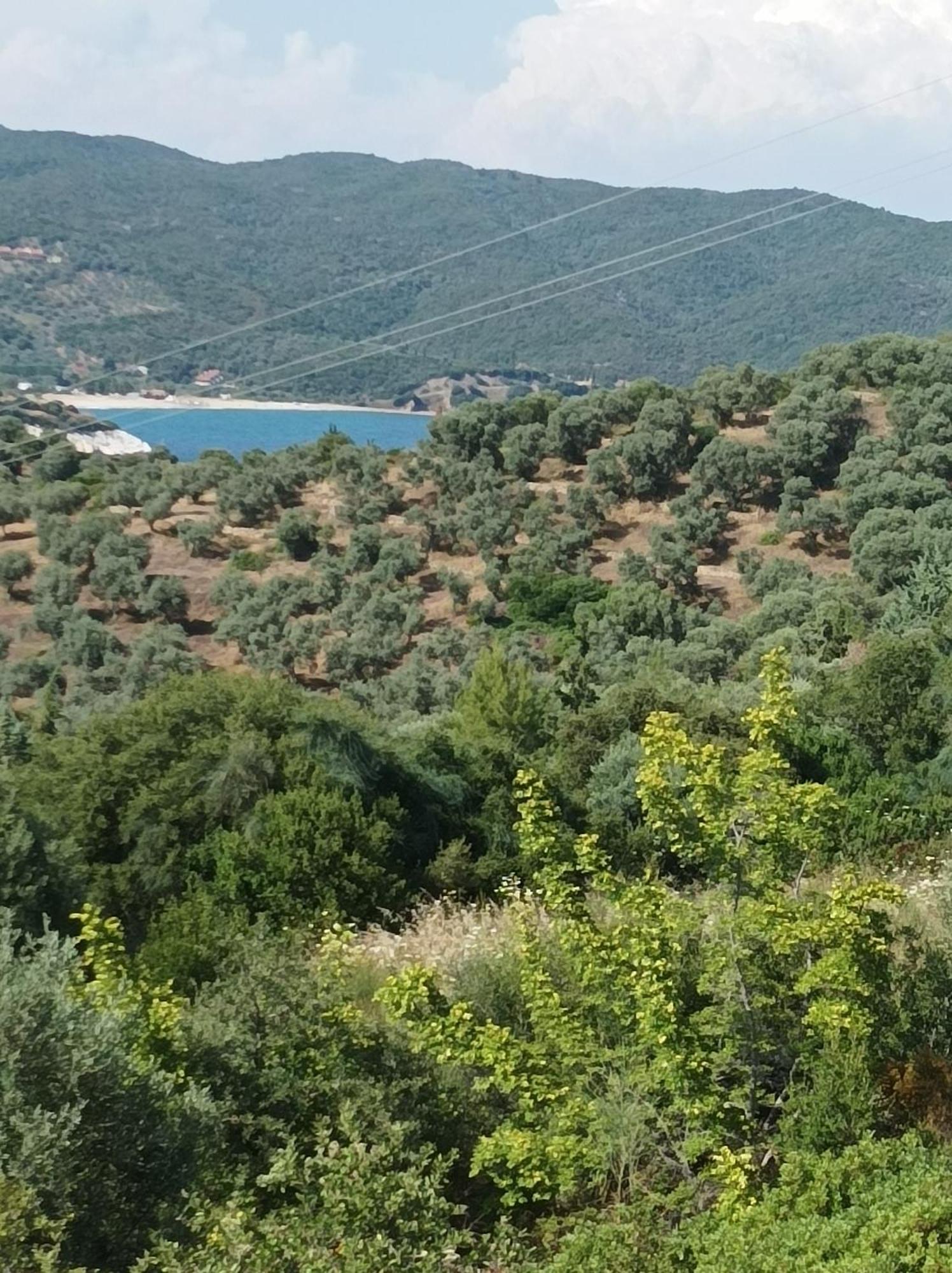Art Hotel Panorama Pyrgadikia Exteriör bild
